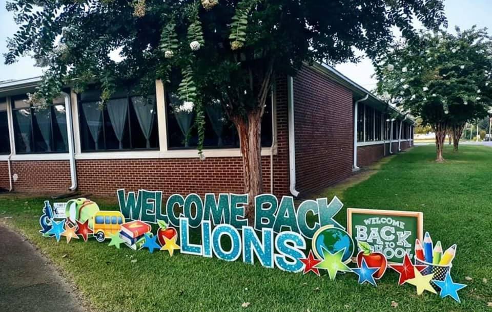 Welcome Back Lions