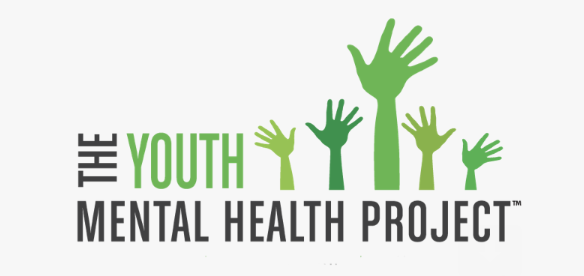 Youth Mental Health Project