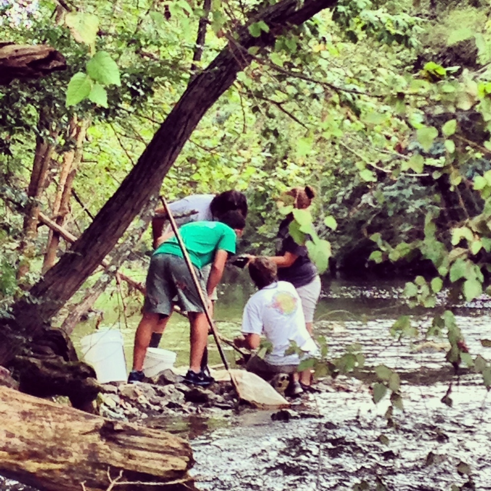 students in stream with nets
