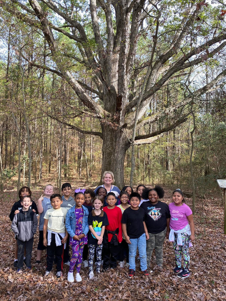 Mrs. Ellenburg's class group picture outside by tree